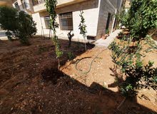 150m2 3 Bedrooms Apartments for Rent in Amman Khalda