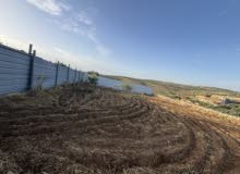 Mixed Use Land for Sale in Qalqilya Kafr Laqif