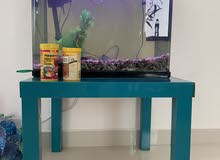 aquarium for sale aquarium for sale