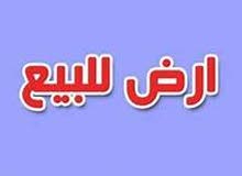فرصه عظيمه للاستثمار ارض بالقرب من اكسبو 2020 فرصه عظيمه للاستثمار ارض بالقرب من اكسبو 2020