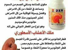 الفطر الريشي الفطر الريشي