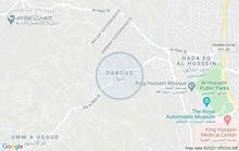 قصر للبيع في الاردن يصلح لكبار الشخصيات ورجال الاعمال قصر للبيع في الاردن يصلح لكبار الشخصيات ورجال الاعمال