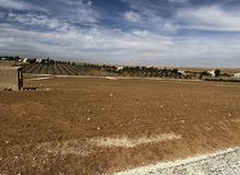 Farm Land for Sale in Amman Al Jizah