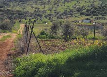 Mixed Use Land for Sale in Jenin Umm Al Tut
