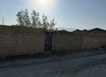 Mixed Use Land for Rent in Muscat Al Jafnayn