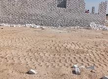 Farm Land for Sale in Beheira Wadi al-Natrun