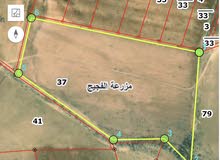 Mixed Use Land for Sale in Al Karak Al-Qasr