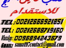 نوفر من المغرب نادلات و نادلين و طباخين من كل التخصصات /00212688719160 نوفر من المغرب نادلات و نادلين و طباخين من كل التخصصات /00212688719160