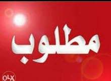مطلوب شقة للبيع بالضاحية مطلوب شقة للبيع بالضاحية