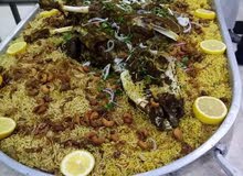 تجهيز غداء تجهيز غداء
