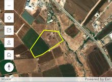 Farm Land for Sale in Nablus Al Nassariya