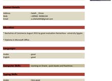 an Egyptian accountant live in salalh looking for work an Egyptian accountant live in salalh looking for work