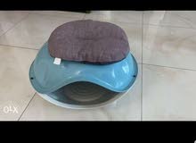 Cat litter box and home Cat litter box and home