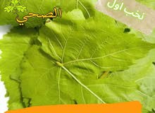 ورق عنب (دوالي) ورق عنب (دوالي)