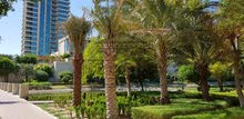 شقة ب jlt للإيجار 80000 4 شيكات شقة ب jlt للإيجار 80000 4 شيكات