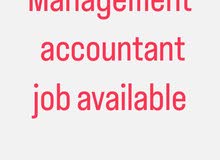Management Accountant Job Opportunity in Oman