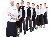 We Provide Professional Indian Staff Chef Waiter Helper Assistant Clenar