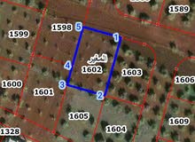Residential Land for Sale in Irbid Al-Mughayer