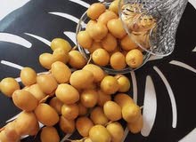 بلح البرحى العراقى بلح البرحى العراقى