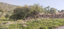 Farm Land for Sale in Zarqa Al-Alouk