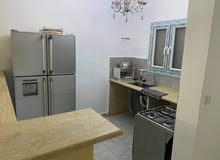 مصيف نخيل قاطع واحد عائلات فقط رقم 0945080700 مصيف نخيل قاطع واحد عائلات فقط رقم 0945080700