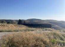 Mixed Use Land for Sale in Nablus Asira Ash-Shamaliya