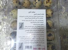 بيض فري بيض فري