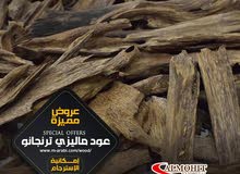 عود ماليزي ترنجانو عود ماليزي ترنجانو