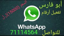 أبو فارس أبو فارس