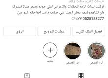 تركيب ليتات الاعراس والحفلات تركيب ليتات الاعراس والحفلات