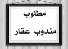 مطلوب مندوب عقار مطلوب مندوب عقار