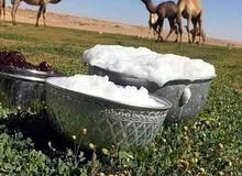 يوجد حليب نياق طازج يومي يوجد حليب نياق طازج يومي
