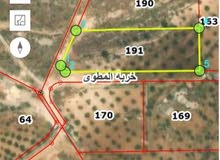 Farm Land for Sale in Mafraq Nadira