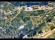 Mixed Use Land for Sale in Nablus Tal Village