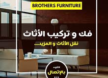 Brothers_For_Furnituer_Transport