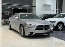 Dodge Charger R/T 2013 (Silver)