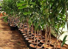 اثاث مطابخ للبيع ادوات مطابخ اثاث وديكورات مطابخ حديثة ادوات ومعدات اكسسوارات ارخص الاسعار في الباحة اثاث مطابخ للبيع ادوات مطابخ اثاث وديكورات مطابخ حديثة ادوات ومعدات اكسسوارات ارخص الاسعار في الباحة