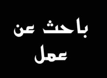 باحت علي وظيفة باحت علي وظيفة