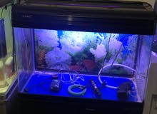 aquarium aquarium