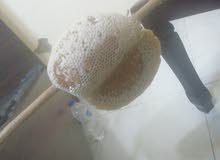 عسل نحل طبيعي للبيع عسل من الإمارات يختلف السعر حسب الحجم عسل نحل طبيعي للبيع عسل من الإمارات يختلف السعر حسب الحجم
