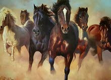 لوحه زيتيه 100 _ 150 لوحه زيتيه 100 _ 150