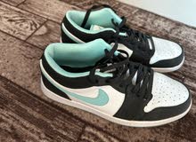 jordan shoes size 10.5 US size 44.5 euro