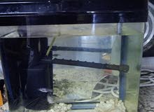 fish tank with fishes for sale