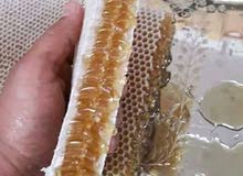 جميع أنواع العسل اليمني جميع أنواع العسل اليمني