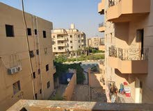 شقة للبيع مدينة الشروق المنطقة التاسعة المجاوره السادسه شقة للبيع مدينة الشروق المنطقة التاسعة المجاوره السادسه