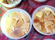 عسل شمع عصيمي سعر للكيلو 25000