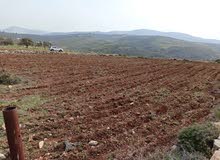 Mixed Use Land for Sale in Nablus Asira Ash-Shamaliya