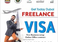 Freelance and Family visa