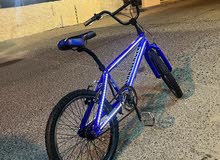 for selling led light with bicycle