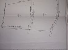 Farm Land for Sale in Qalqilya Baqat Al Hatab